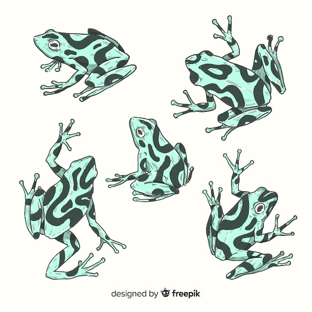 Pack of hand drawn frog