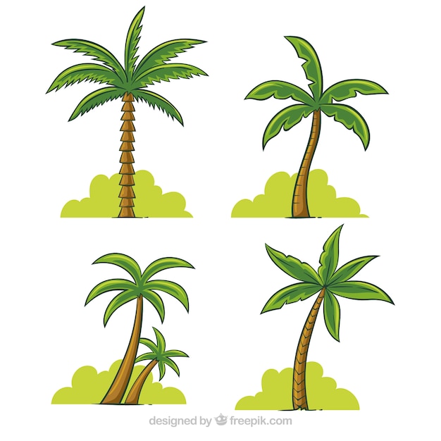 Free Vector pack of hand-drawn palm trees