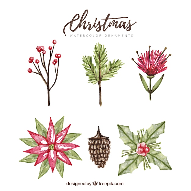 Pack of hand painted christmas flowers