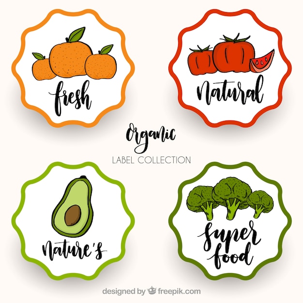 Free Vector pack of healthy food retro stickers