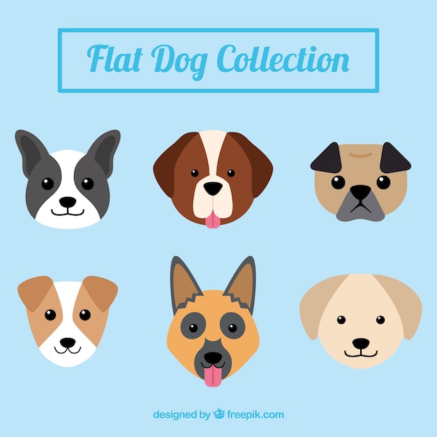 Free vector pack of nice dogs in flat design