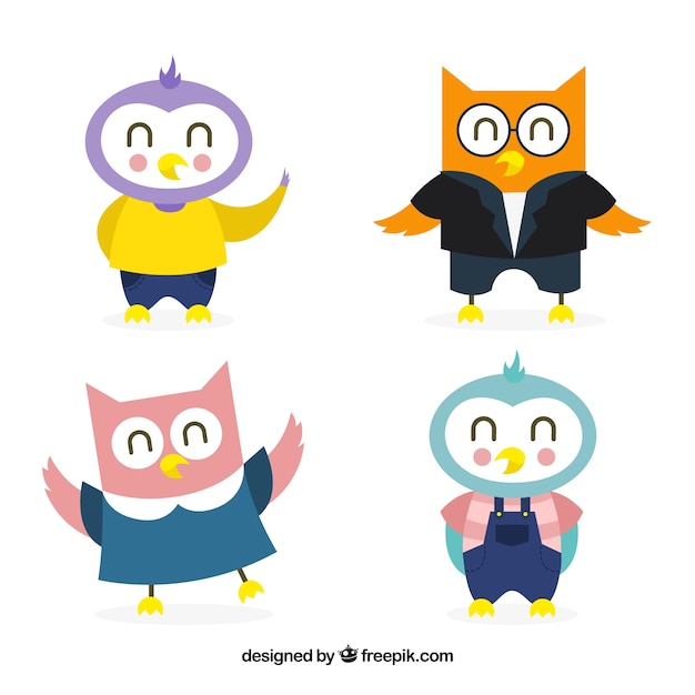 Pack of nice owls with clothes in flat design