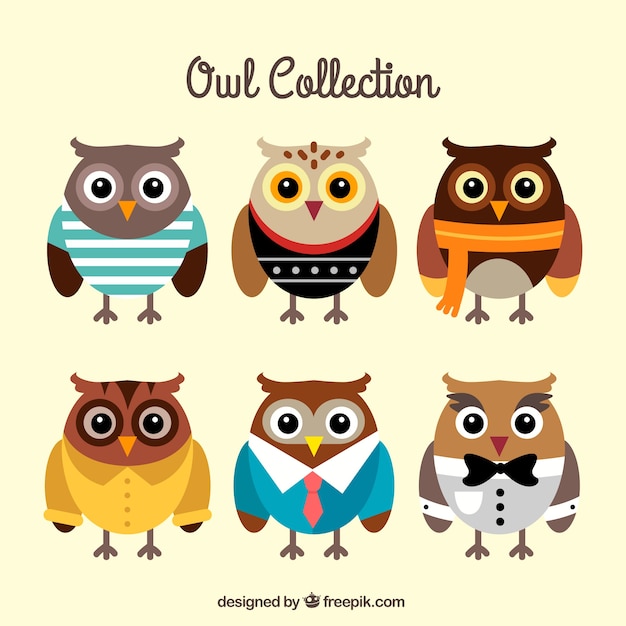 Pack of owls with clothes in flat design