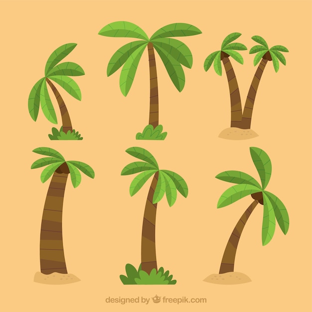 Pack of palm trees in flat design