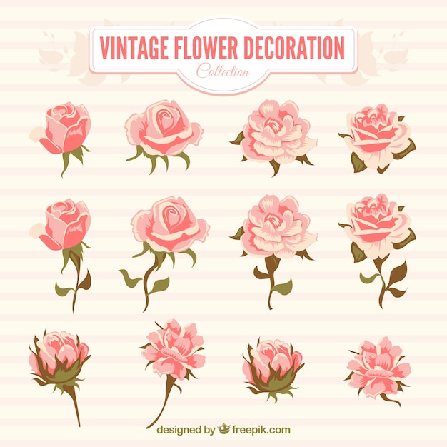 Free Vector pack of pink flowers in vintage style