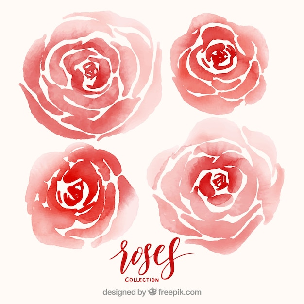 Free vector pack of red watercolor roses