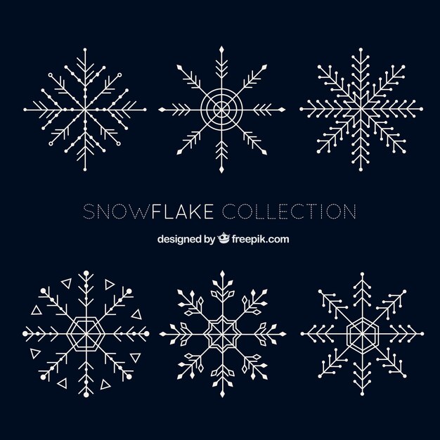 Pack of six fantastic snowflakes in flat design