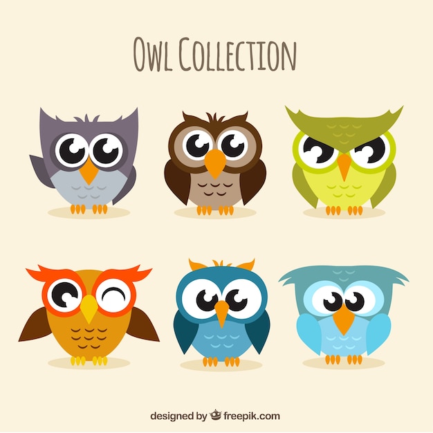 Pack of six funny owls in flat design