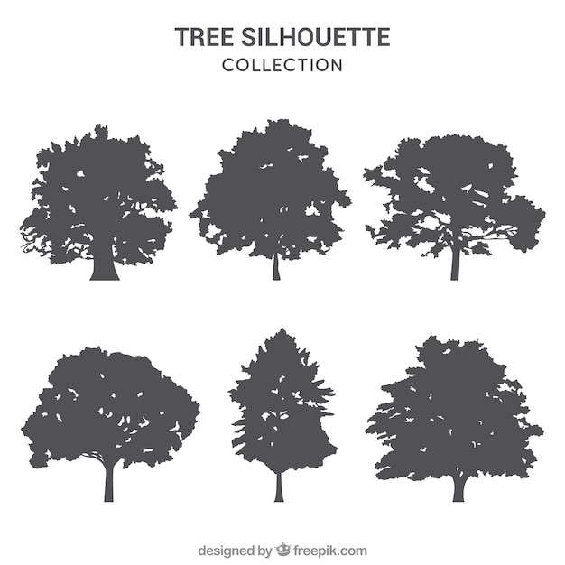 Pack of trees with silhouette