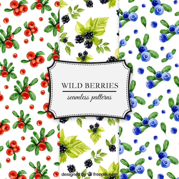 Free Vector pack of watercolor berries patterns