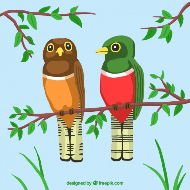 Free Vector pair of birds in a branch