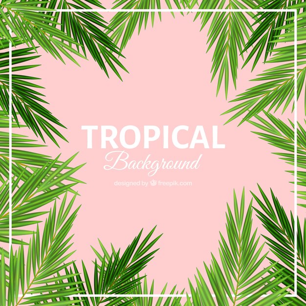 Palm leaves tropical background