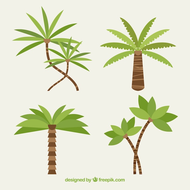 Palm tree falt design collection