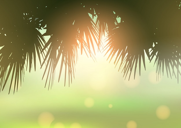 Palm tree leaves against bokeh light background