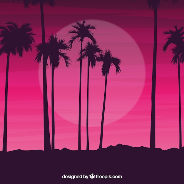 Palm tree silhouettes against a night sky