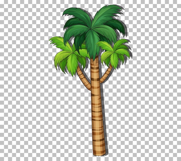 Free vector palm tree on transparent background