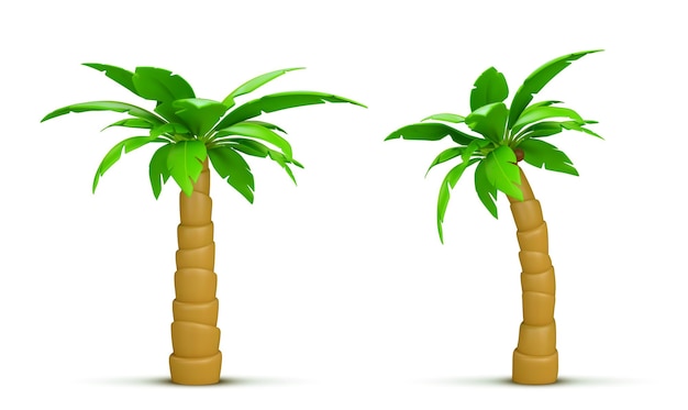 Free vector palm tree with coconut realistic 3d vector