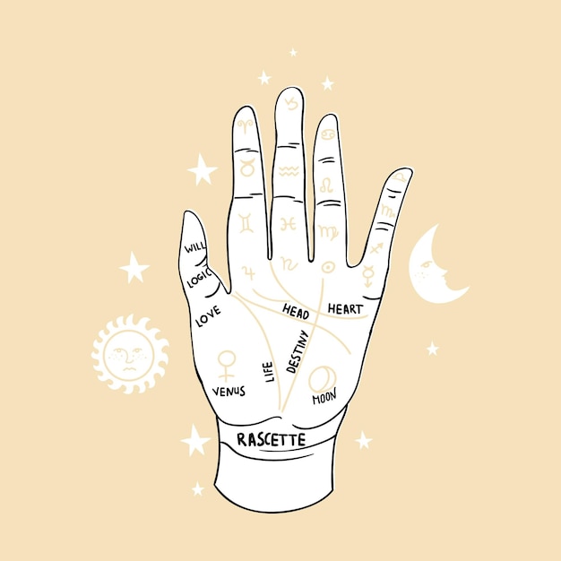 Free Vector palmistry with hand