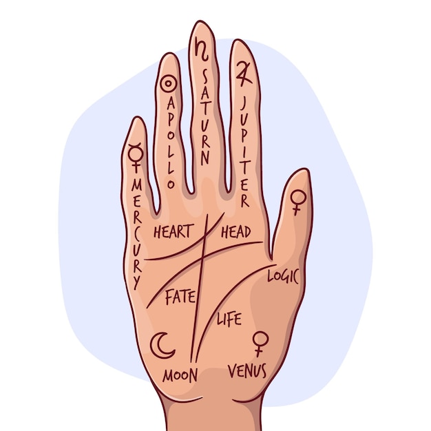 Free Vector palmistry with hand