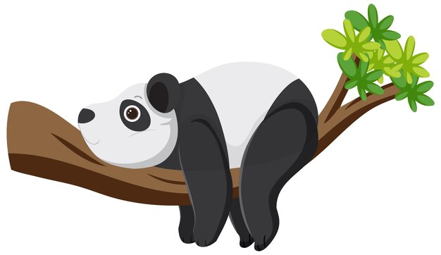 Panda bear lying on tree