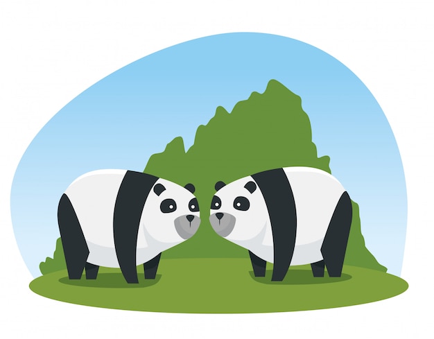 Panda couple wild animals with bushes