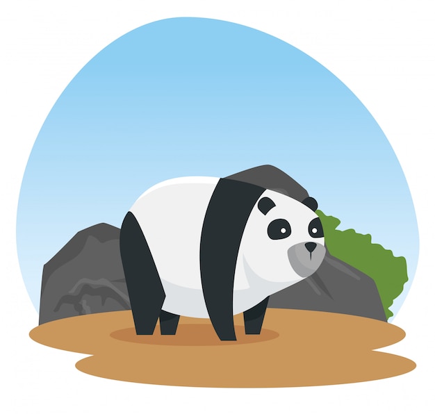 Panda wild animal with stones and bushes