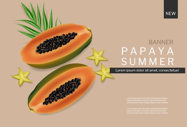 Free Vector papaya summer banner vector realistic. tropic fruits template backgrounds