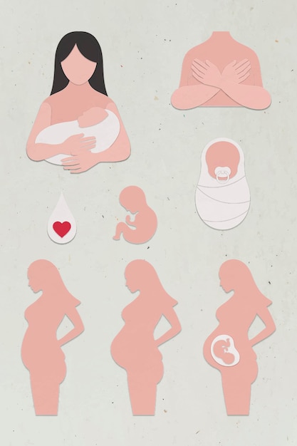 Free Vector paper craft pregnant woman and baby character set vector