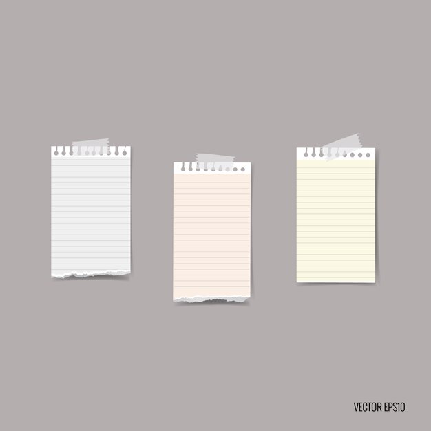 Paper notes collection