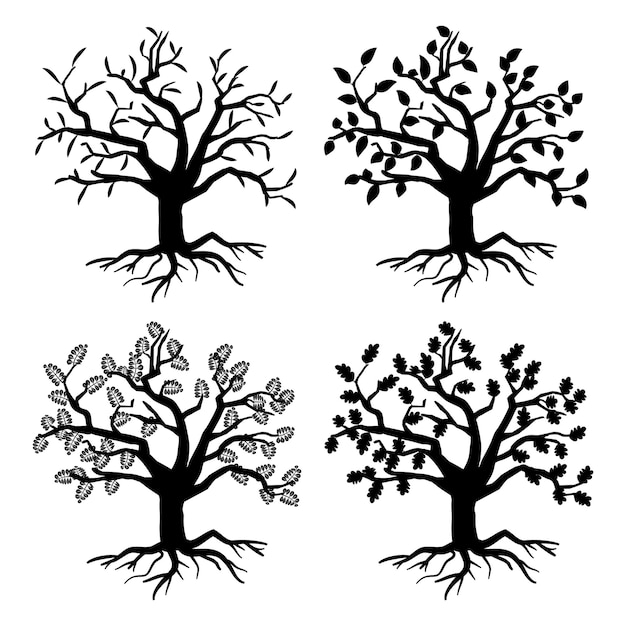 Park old trees.  tree silhouettes with roots and leaves. Monochrome tree flora of collection illustration