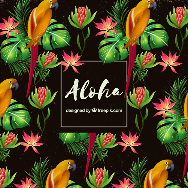 Parrot pattern aloha background