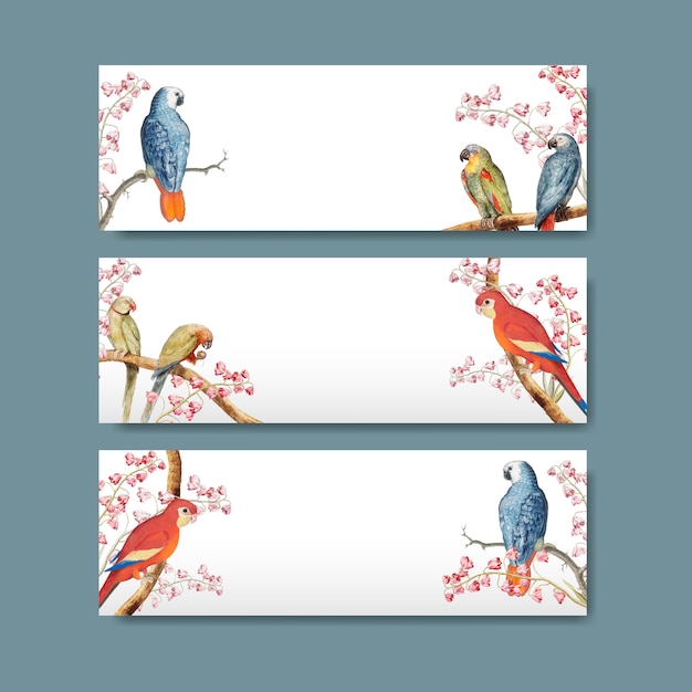 Free Vector parrot title label design