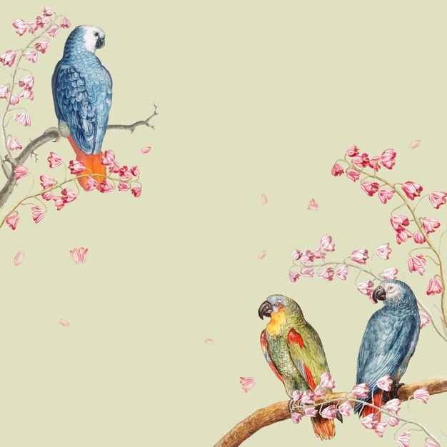 Parrots mockup border