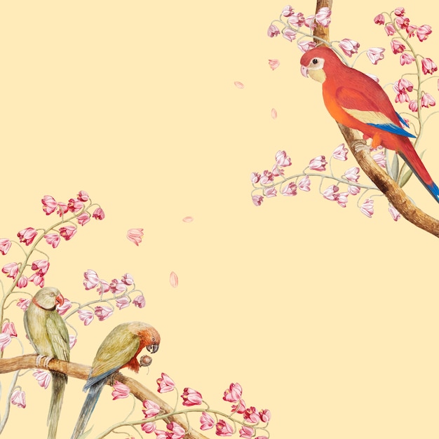 Free Vector parrots mockup border