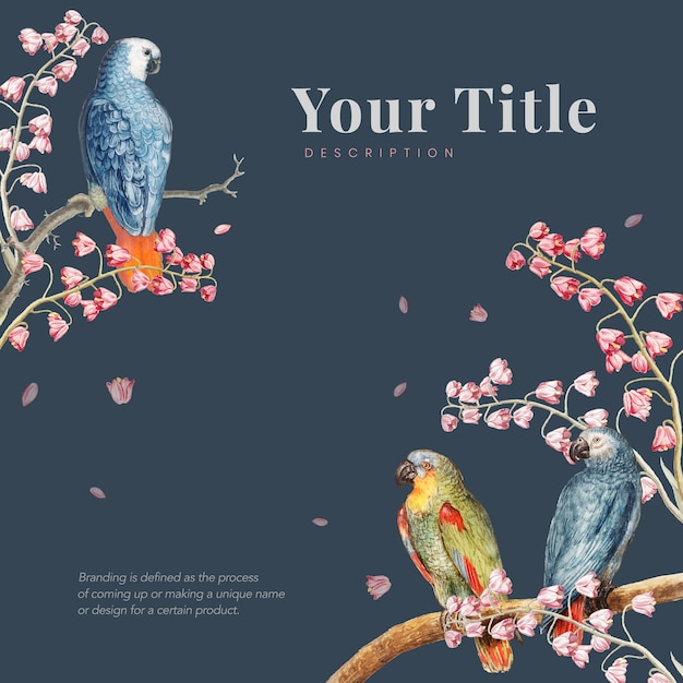 Free Vector parrots mockup border