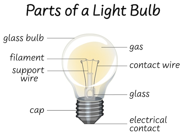 Free Vector part if lightbulb diagram