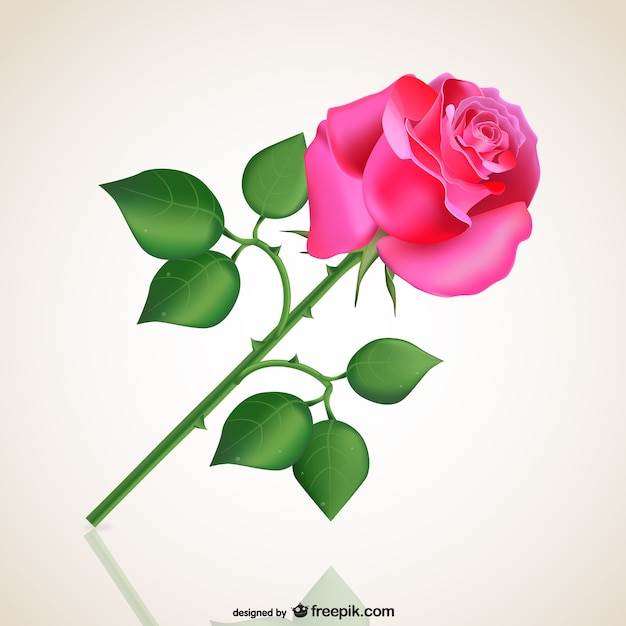 Free Vector passionate pink rose