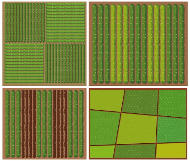 Pattern of crops from top view