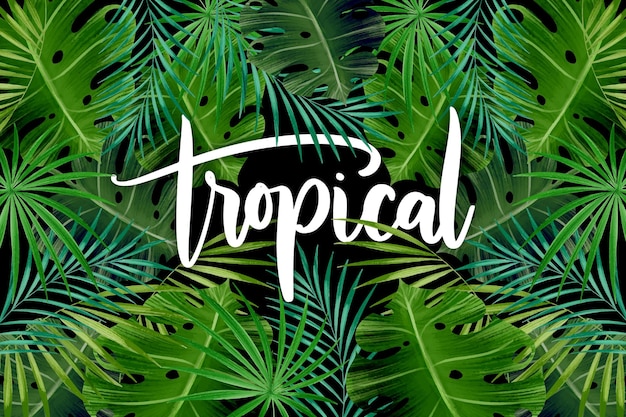 Pattern of exotic leaves tropical lettering