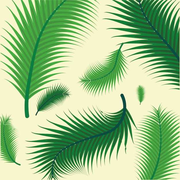 Pattern of green tropical palm leaves