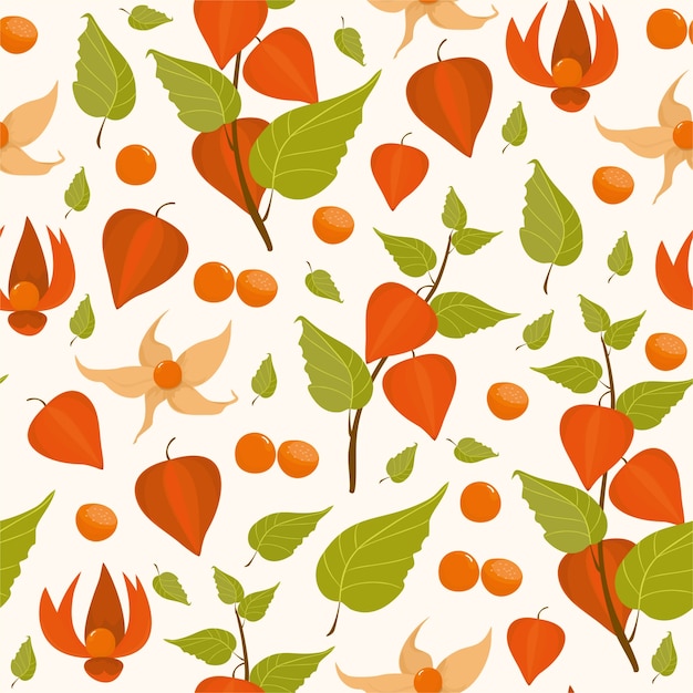 Free vector pattern physalis