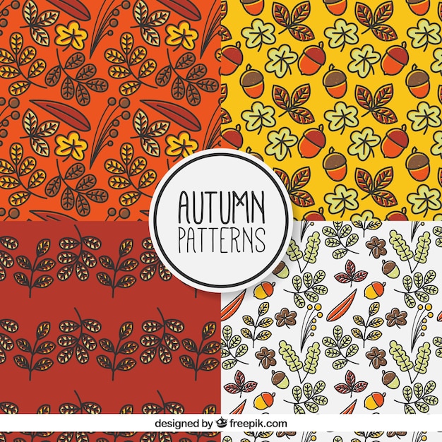 Free Vector pattern set with acorns and leaves