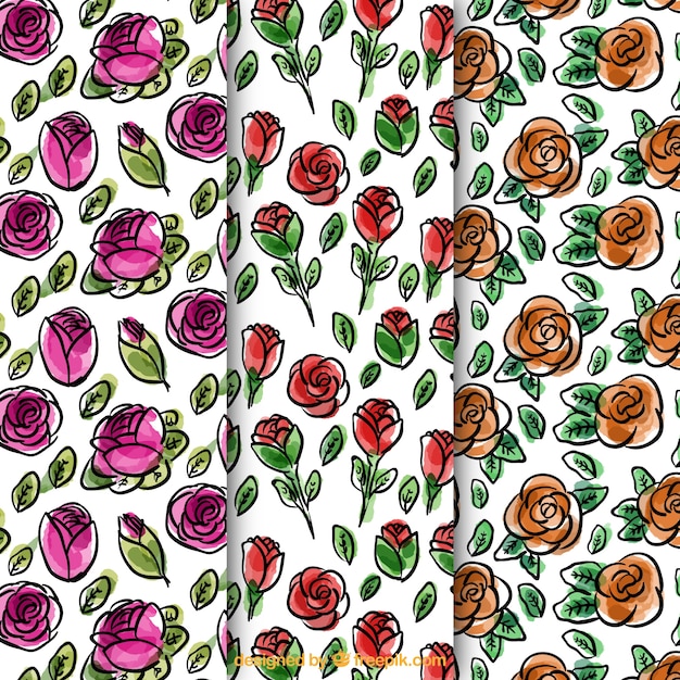 Patterns of watercolor roses