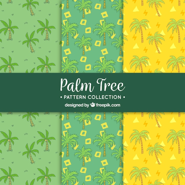 Free vector patterns with drawings set of palm trees