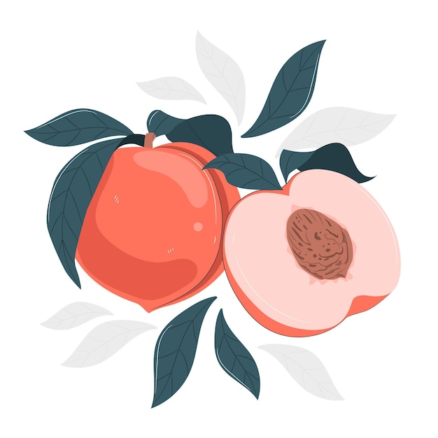 Free vector peach concept illustration