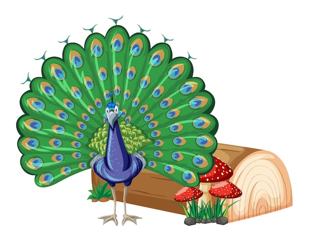 Free Vector a peacock with nature element on white background