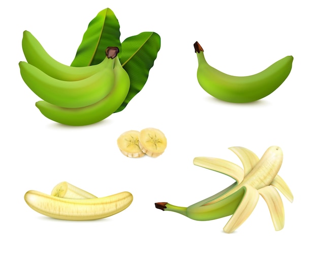 Free Vector peeled unpeeled and sliced green banana with leaves realistic set isolated vector illustration