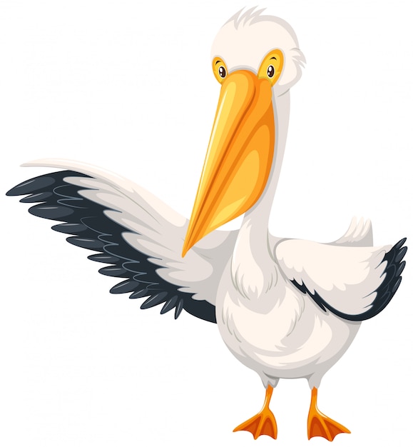 Free Vector a pelican character on white background