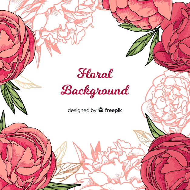 Peony flowers background concept