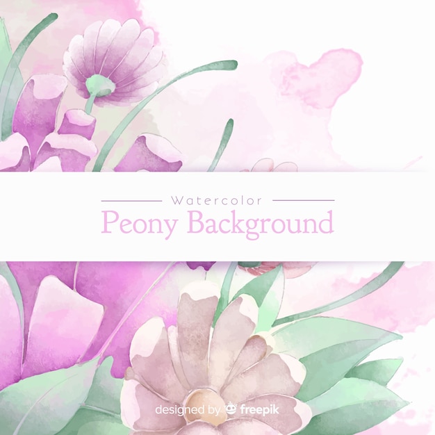 Peony flowers background in watercolor style